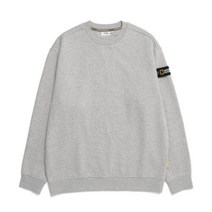 [국내매장판] 내셔널지오그래픽 남성 스탠다드 벨룩스 세미 오버핏 기모 맨투맨 티셔츠 M GREY N224USW901 1506420