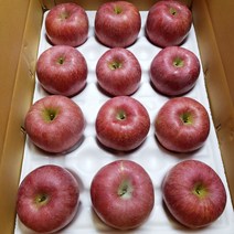 선물용 부사 10kg 중과 대과 최상품 꿀맛사과 경북사과 햇사과 농장직배송, 대과(26~29과)