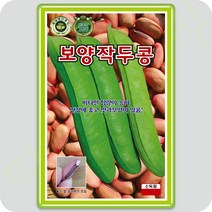 보양 작두콩 씨앗 10립 KS 콩씨앗