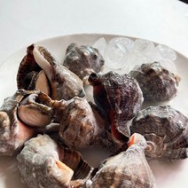 자숙피뿔고동2S(껍질유)1kg-20알전후