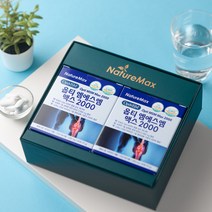 네이처맥스 옵티 MSM 맥스 2000 60정 2통 선물세트