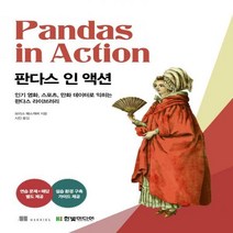 [하나북]판다스 인 액션