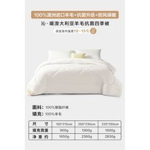 고급 양모이불 사계절 호텔 먼지없는 이불 여름 포근 램스울 심플 양털솜 겨울, 2.사계절 B타입
