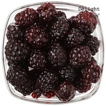 [딜라잇가든]냉동 블랙베리(복분자)1kg x 5, 단품