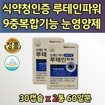 식약처인정 눈비타민 루테인 하루권장량 20mg 눈보조식품 2통 복합 기능성 파워 비타민B2 나이아신 니아신 아연 청소년 루테인 온가족 패밀리 우리가족 성인 대학생 회사원 시부모님