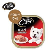 브랜드없음 댕댕이 건강영양캔 시저 소고기 100g, 시져 소고기 100g