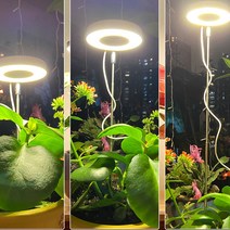 원예용품 모종 매트 작은 LED 식물 성장 빛 실내 대 한 조명 높이 조절 및 자동 타이머 USB, 한개옵션0