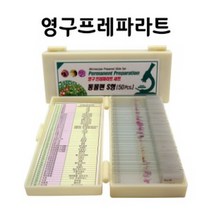 영구프레파라트-동물편 S형(50pcs)