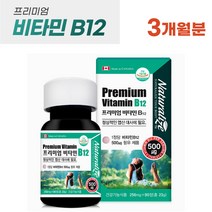 캐나다 프리미엄 비타민B12 90정 식약처 인증 시아노코발라민 정상적인 엽산대사에 필요 부모님 노년 기 비타민 영양제, 1병