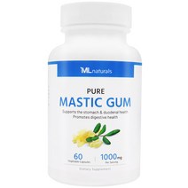 [미국번개배송] 착한명품 마이라이프 내추럴스 매스틱검 1000mg 60정, 1병
