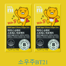 일동제약 비타민 마이니 슈퍼비 스트레스 피로케어 2박스 (2개월분), 스트레스피로케어2박스(2개월분)