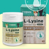고양이 면역력 엘라이신 비타민 가루 영양제 노묘
