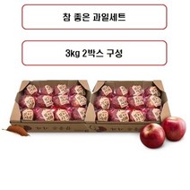 참좋은과일세트 참 좋은 사과 3kg*2박스, 없음, 2개