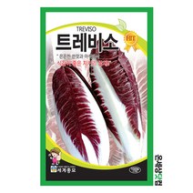트레비소 1000립 / 상추씨앗 쌈채소씨앗 텃밭씨앗 상추씨 이색채소씨앗