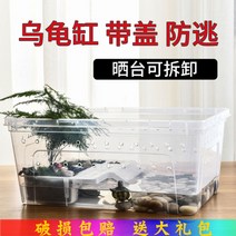 애완동물키우기 조경 수초 거북이키우기 자라키우기, 흰색 3W