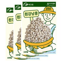 아시아종묘/콩씨앗종자 흰강낭콩 (100립x3)