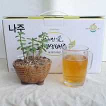 해마을 착즙 100% 생생나주배즙, 120ml x 100개