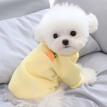 펫라이엇 강아지옷 가을 겨울 포켓 캐롯 티셔츠, FW2-02_그린