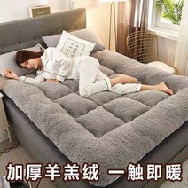 加绒加厚床垫冬季羊羔绒软垫家用双人垫褥被地垫褥子学生宿舍单人