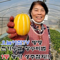 [TV오늘아침방영] 마미템 제철 달달 성주참외 가정용 못난이 3kg 5kg 소과 중과 혼합 고당도 꿀참외, 가정용 소과 3kg