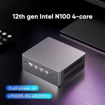 인텔 N100 12 세대 미니 PC 데스크탑 게임용 컴퓨터 쿼드코어 LPDDR5 8GB 4800Hz 윈도우즈 듀얼 RJ45 LAN, 04 OPNsense_04 EU, 05 8GB DDR5 1TB SSD