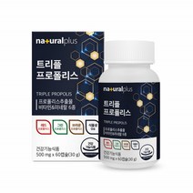 레드프로폴리스 츄어블 그린프로폴리스 캡슐 호주산 플로폴리스 씹어먹는 프로폴리 PROPOLIS 어린이 키즈 프로폴리스 프리미엄 플라보노이드 60set