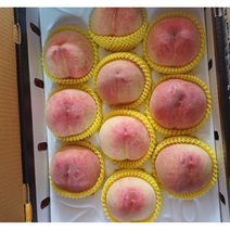 제철 복숭아 4kg 햇사레 감곡 미백 복숭아 양홍장 황도 백도 말랑이 딱딱이 물 복숭아 천중도 그레이트 물복, 9~10과