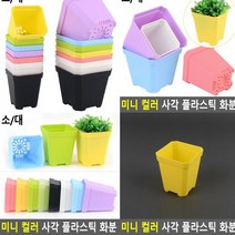 플라스틱화분 소 옐로우 작은화분 프리지아화분 베란다텃밭 대형플라스틱화분 후리지아화분 블루베리화분 베란다화분 분재화분 플라스틱화분 집에서상추키우기 텃밭화분 베란다상추키우기 사무실화분 상자텃밭 옥상텃밭 미니텃밭 대형화분 방울토마토화분 나무화분 실내정원 베란다정원 텃밭상자