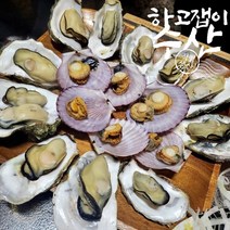 하고잽이수산 브러시세척 깔끔한 통영 석화 가리비세트 (조개칼+회초장증정), 세트1번, 석화2kg/가리비1kg