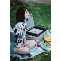 캠핑용 차량용 소형 냉장고 냉장 냉동 12v 24v, G 가정용/차량용 냉장고