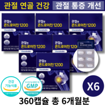 주영엔에스 지성 관절엔 콘드로이친 1200 무릎관절 통증 관절건강 튼튼한 관절 기능성원료, 6개, 60정