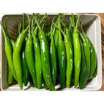 미인 풋고추 안매운 아삭이 고추, 미인풋고추-3kg