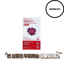 푸드올로지 콜레올로지 티 하비탈출 8g x 15포, 1개, 120g