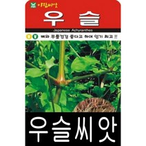 [워터트리몰] 우슬씨앗(500립) 채소 꽃 종자 재배 씨앗 허브 (A)