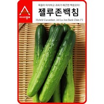 보람농자재 (오이씨앗종자) 젤루존백침 오이(30립 500립), 500립, 1개