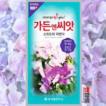 스위트피 라벤다 씨앗 10립 / 일년생 야생화 봄 가을 꽃 꽃씨 몰 종자