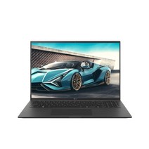 LG전자 그램16, Free DOS, 옵시디안 블랙, 256GB, 코어i5, 16ZD95P-GX5BK, 8GB