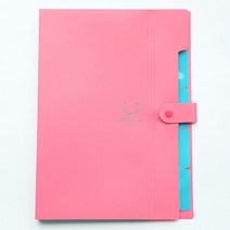 파일 꽂이 케이스 철 a3 a4 문서정리 아코디언방수 A4 파일 가방 데이터 도서 문서 대용량 주머니 빌 폴더, 02 Rose Red
