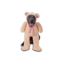 Brand Walking Teddy Bear Big Dog Pet Costume