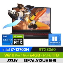 [사은품 증정!] MSI Sword GF76 A12UE 블랙 고사양 12세대 배그 롤 오버워치 17인치 게이밍 노트북 (코어i7-12700H/RTX3060), 코어i7, 1TB, 64GB, 윈도우11