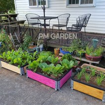 [풀물정원] PM 에코팜 조립식 텃밭 상자 - 옥상 베란다 마당 학교 공공장소 텃밭 조성 상자, 옵션 10. 115 X 115cm, 선택05. 핫핑크