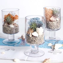 공기정화 천연 가습 DIY 테라리움 틸란드시아 이오난사 스칸디아모스, 어텀, 일자스탠드 DIY