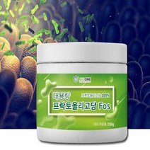 올원 프리바이오틱스 유산균 분말 대용량 프락토올리고당 어린이 청소년, 1개, 250g