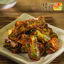 [춘향골 김치보감] 당일 담근 오이소박이 2KG, 단품