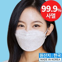인트래블 국내산 기능성 항균 동마스크 10개입, 1개, 10매입