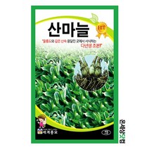 산마늘 40립 / 산마늘씨앗 명이나물씨 종자 토속나물 주말농장 베란다텃밭
