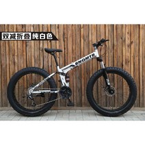 펫자전거 산악 광폭 성인 팻 바이크, 24단, 24인치, 실버