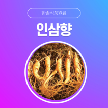 [한솔식품원료] 인삼향 ( Ginseng Flavor) (액상 Type) [30g/50g/100g/1kg/5kg/10kg], 50g