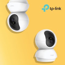 티피링크 가정용 CCTV 아기 홈캠 강아지 펫캠 TAPO C210 홈CCTV IP카메라, 샌디스크 M-SD카드 256G + 리더기