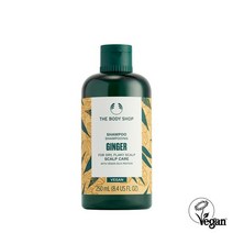[더바디샵] 진저 스캘프 케어 샴푸 250ML_리뉴얼 97909, 없음, 1개